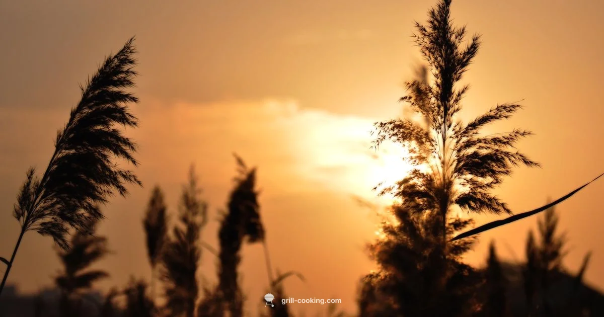 Embers Grill Guide - Grill Cooking