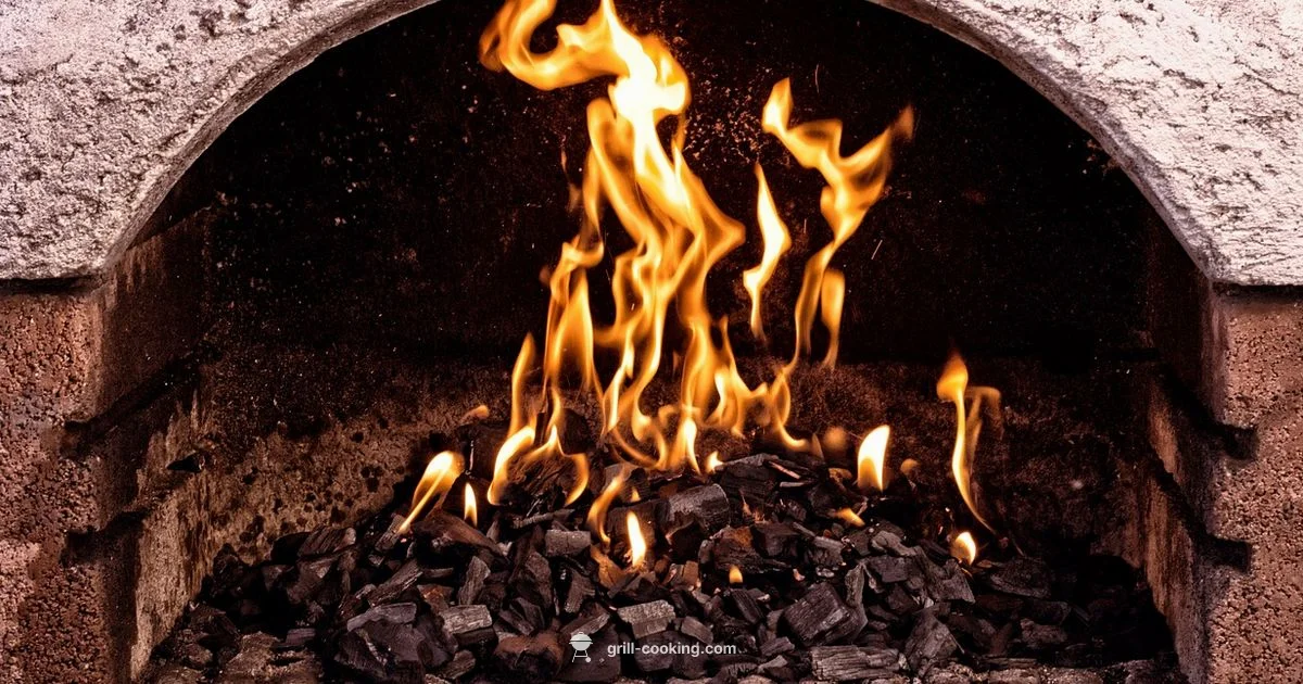 Oven Grilling Basics Oven Grilling Basics - Grill Cooking