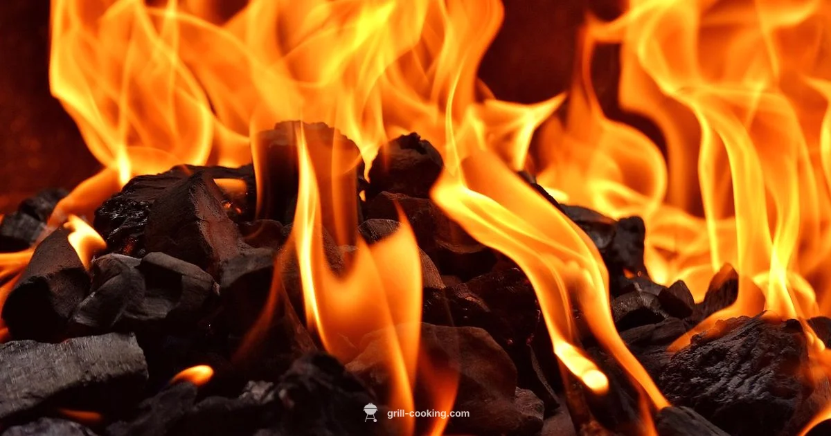 Beachside Grill Insight - Grill Cooking