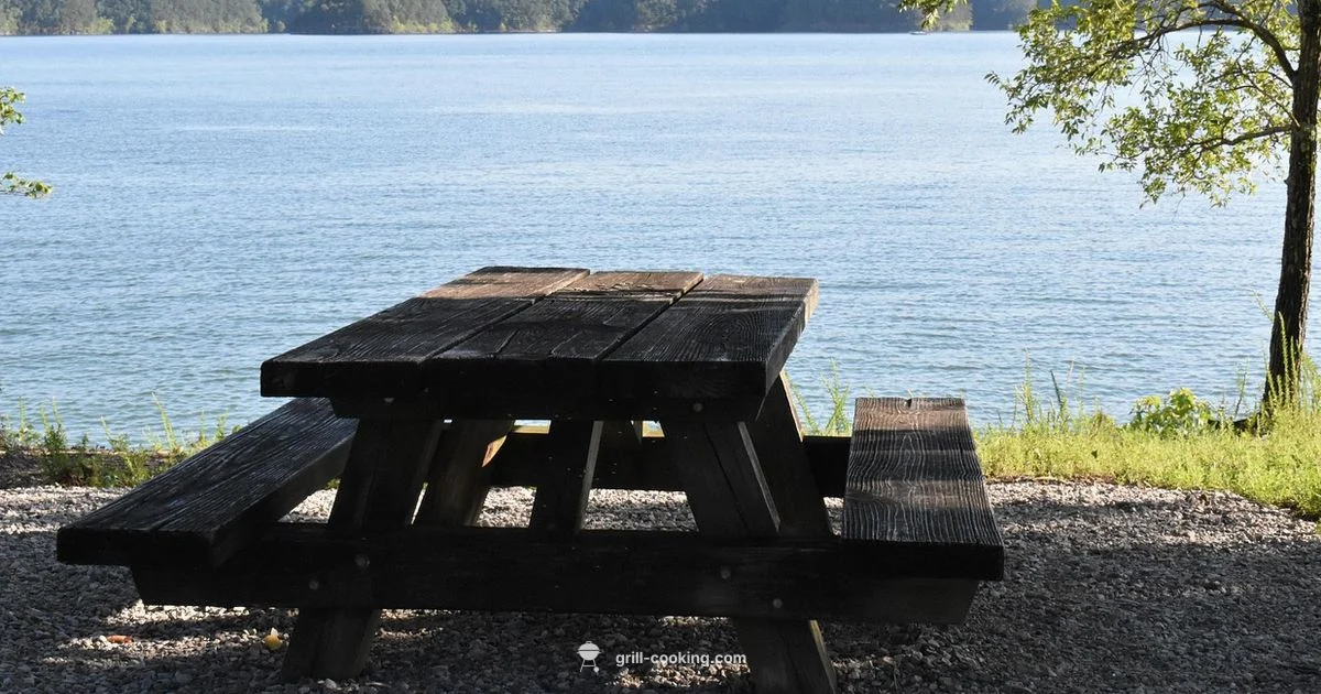 Coleman Portable Grill - Grill Cooking