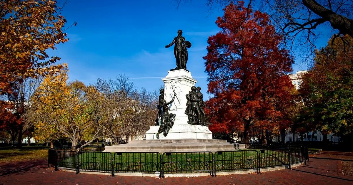 Grill DC Spots Grill DC Spots - Grill Cooking