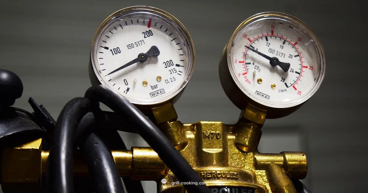 Propane Regulator Guide - Grill Cooking