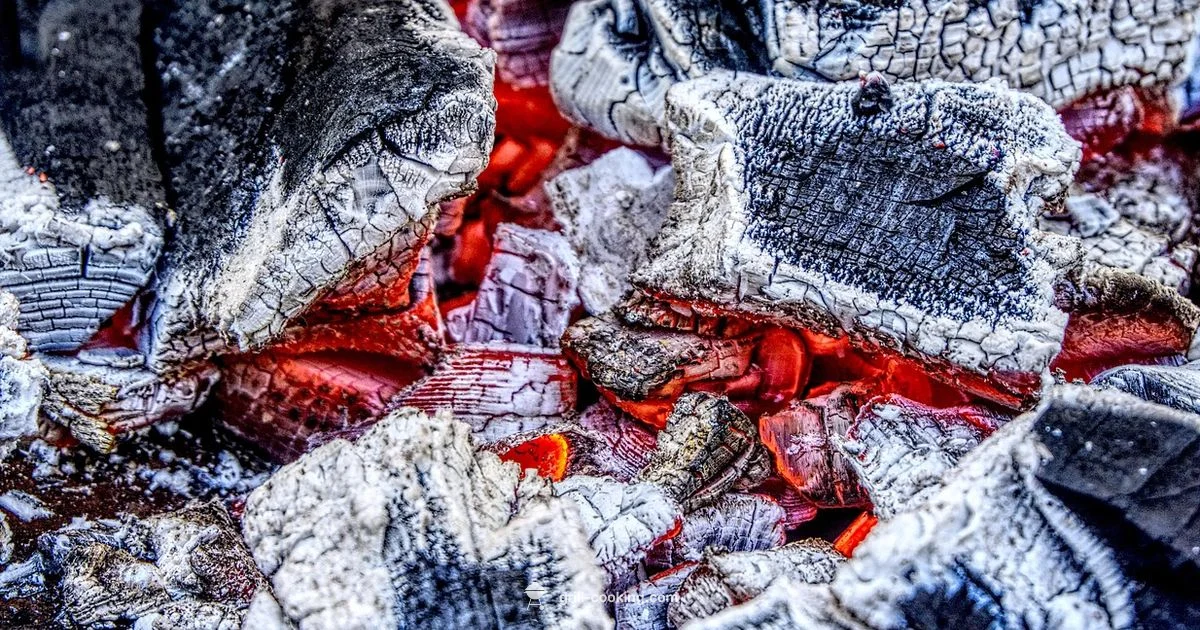 Charcoal Grilling Timing - Grill Cooking