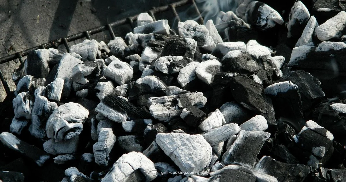 Grill Dinner Guide - Grill Cooking