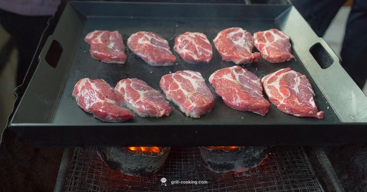 Pork Chops on the Grill - Grill Cooking