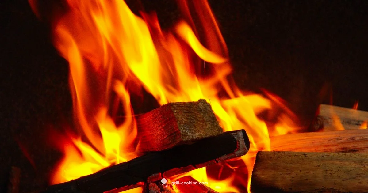 Grill Mastery 101 - Grill Cooking