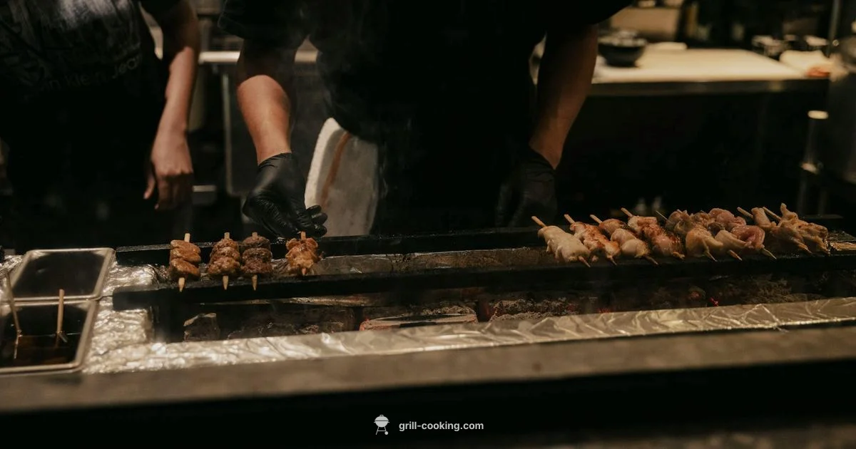 Indoor Grill Guide - Grill Cooking