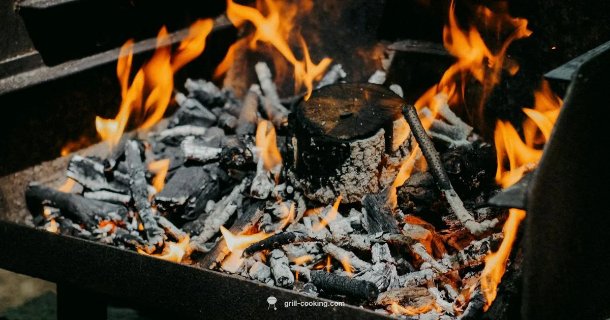 Baba Grill Basics - Grill Cooking