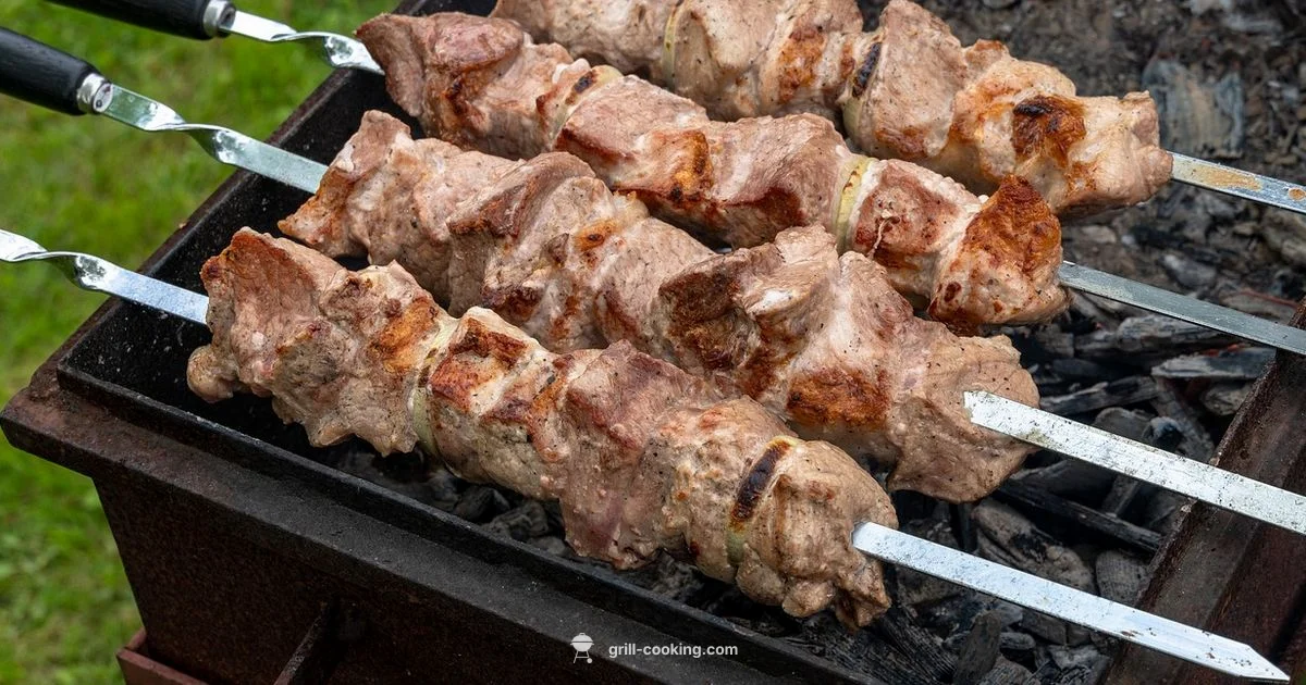 Sultan Grill Guide - Grill Cooking