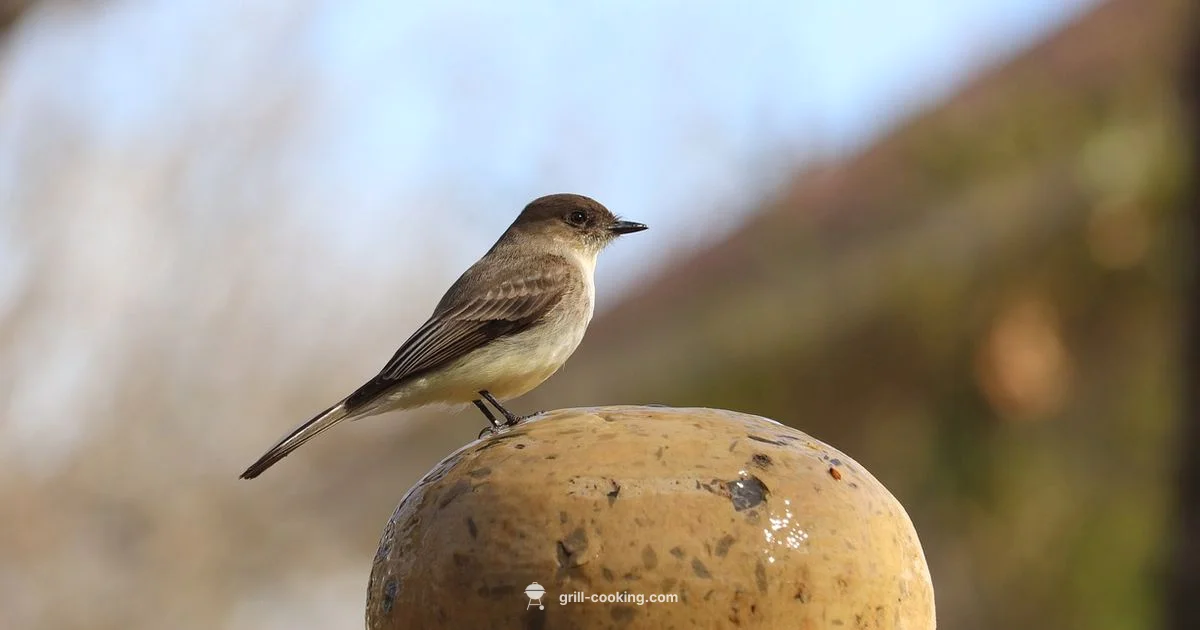 Grill Broil Defined - Grill Cooking