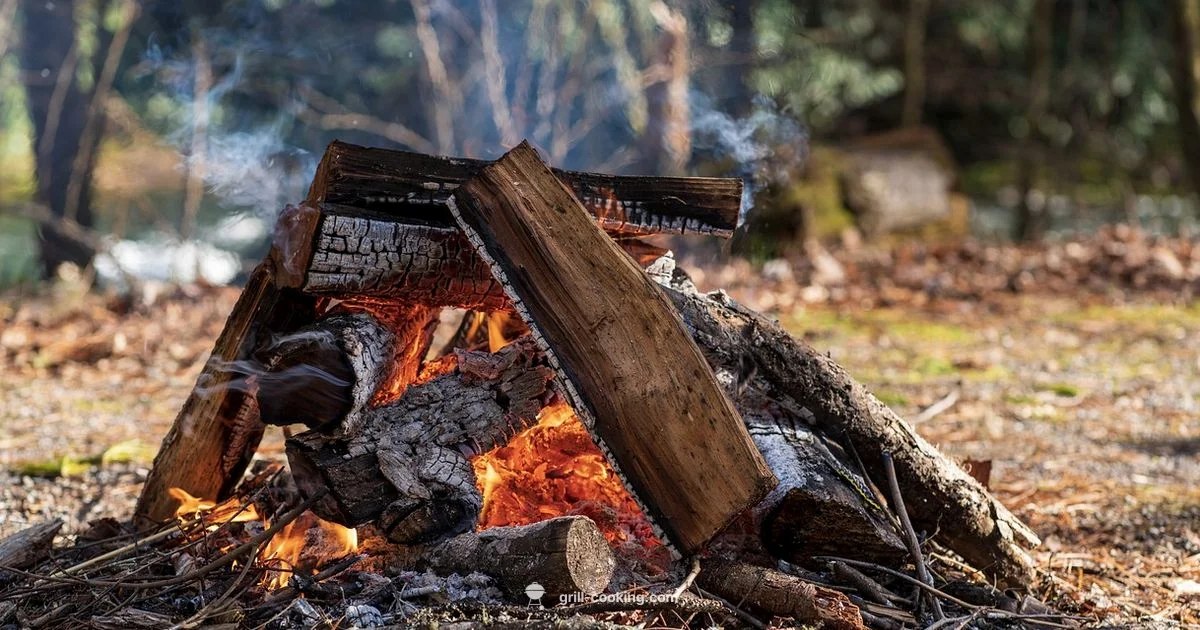 Gas Grill Guide - Grill Cooking