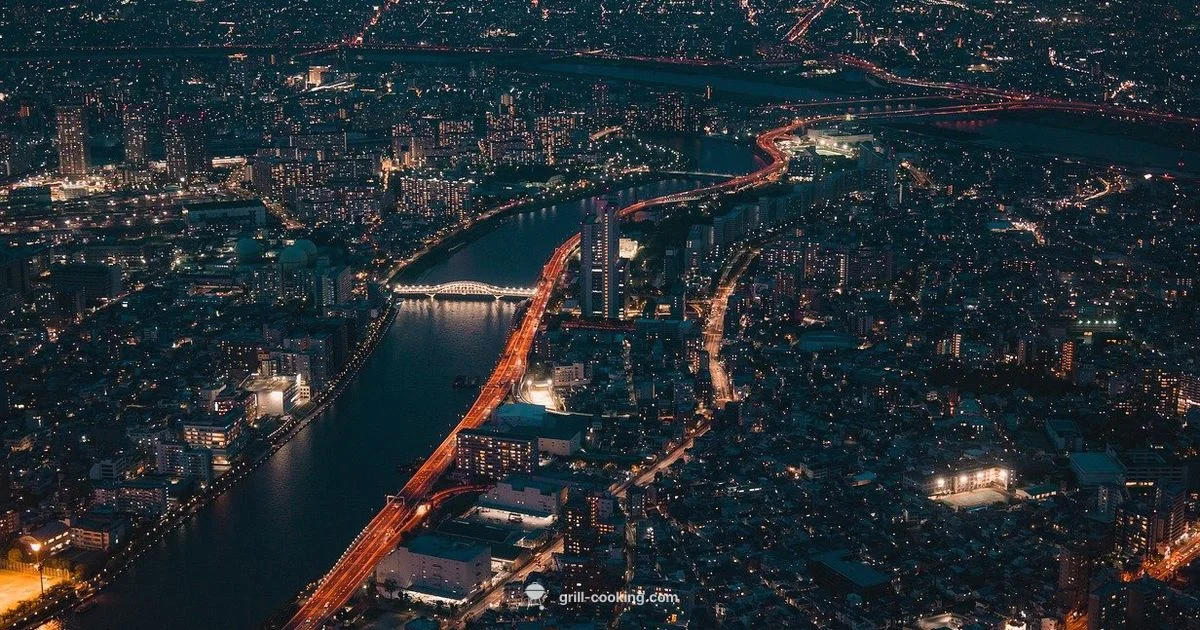 Cinema-Style City Grill - Grill Cooking