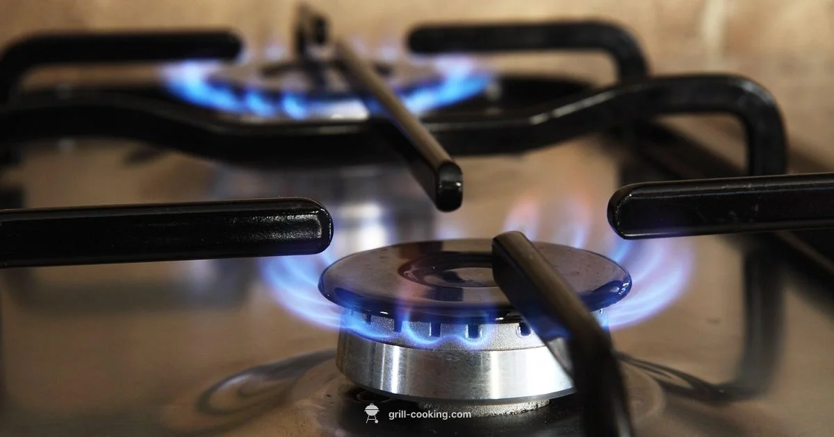 No-Electric Cooking - Grill Cooking