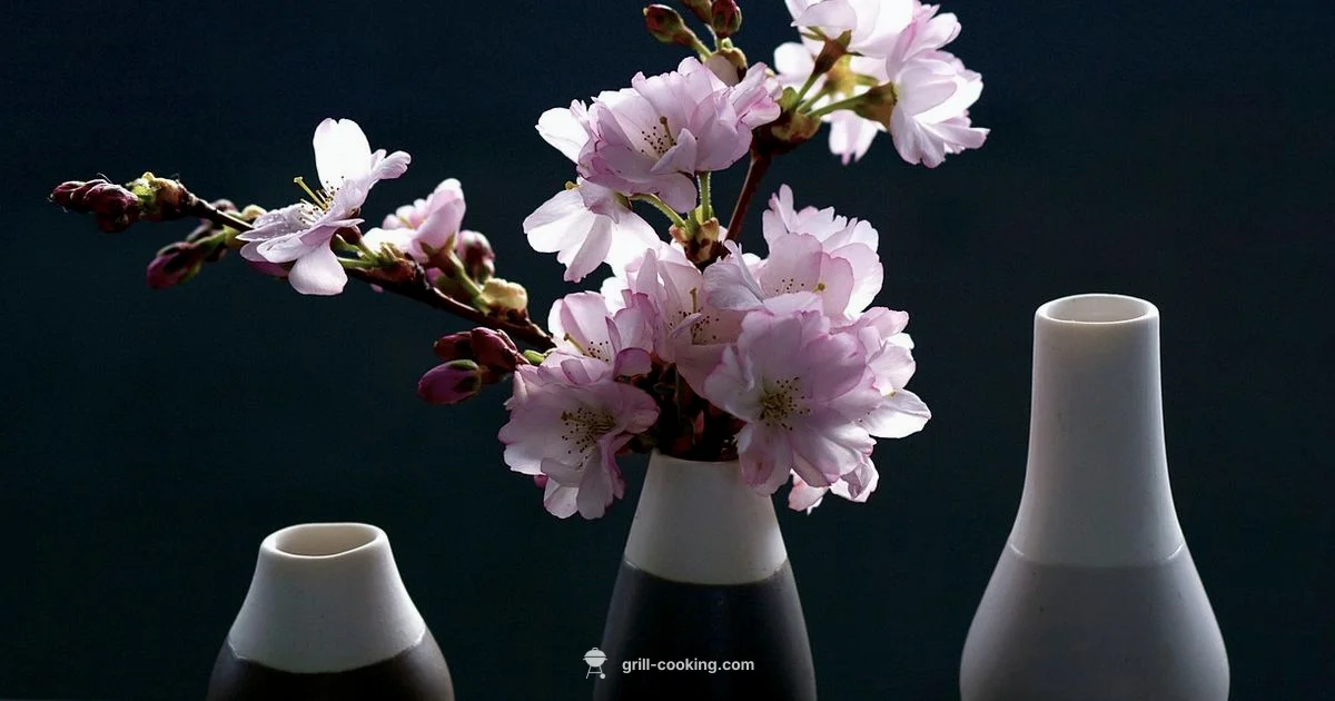 Sakura Grill Guide - Grill Cooking