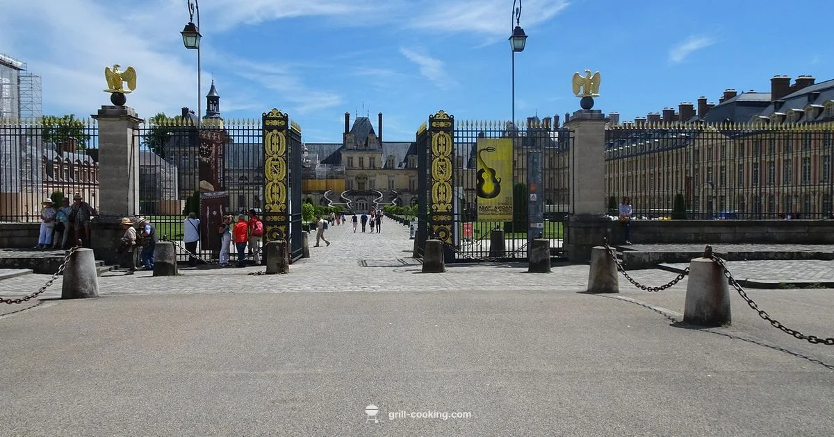 Napoleon Grills Overview - Grill Cooking