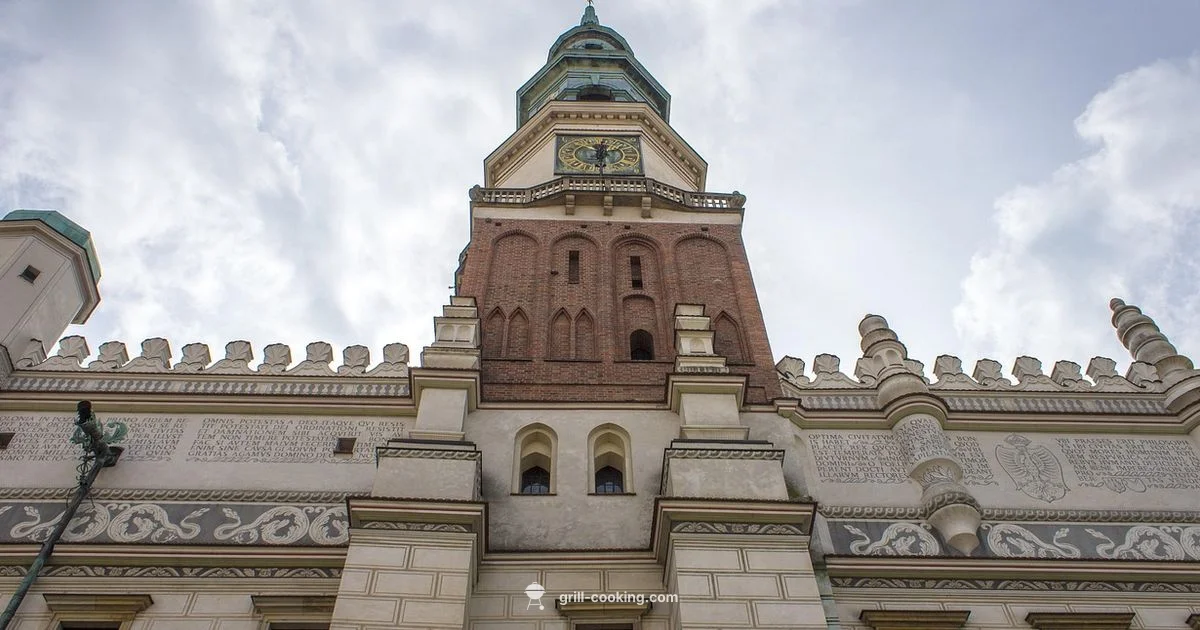 Old Town Grill Essentials - Grill Cooking