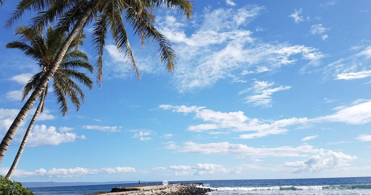 Makai Island Grill - Grill Cooking