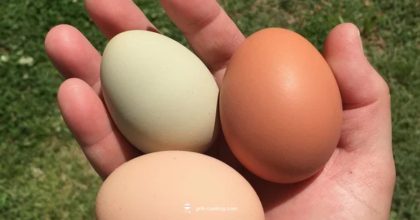 Juicy Grilled Chicken - Grill Cooking