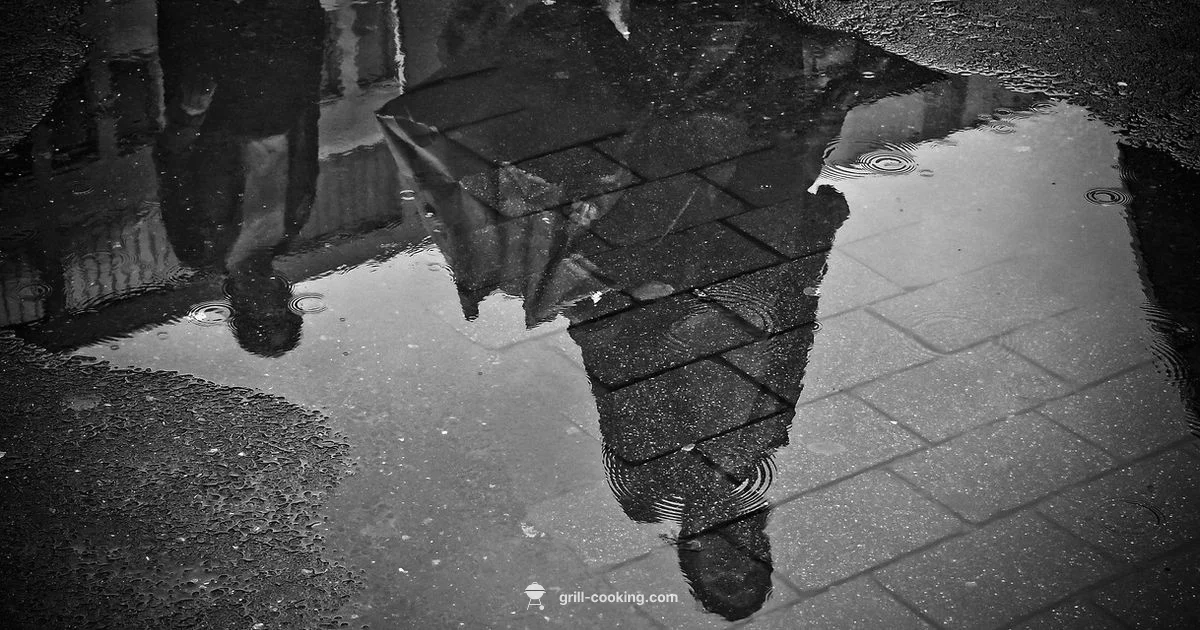 Rainy Grill Rescue Rainy Grill Rescue - Grill Cooking