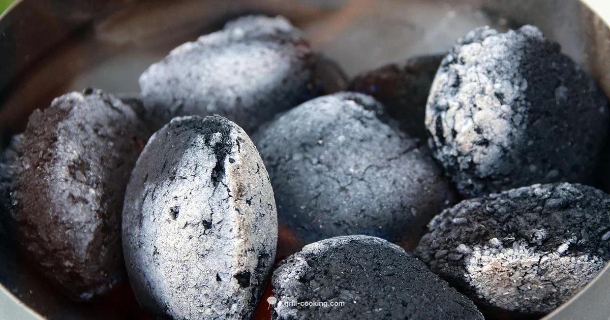 Chimney Starter Guide - Grill Cooking