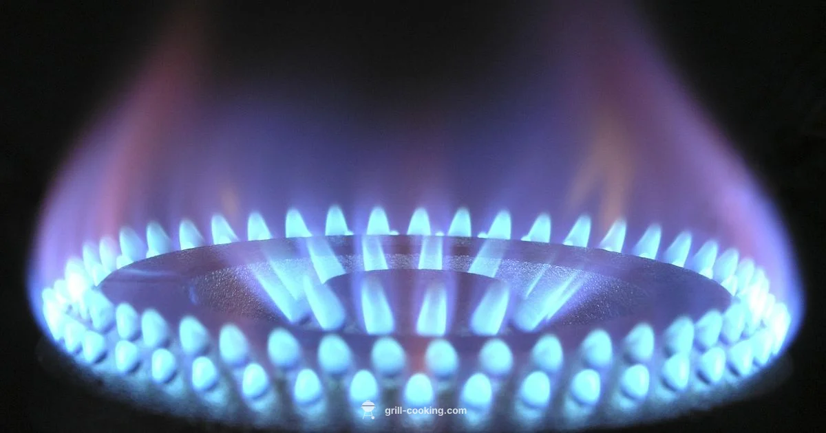 Propane Grill Guide - Grill Cooking