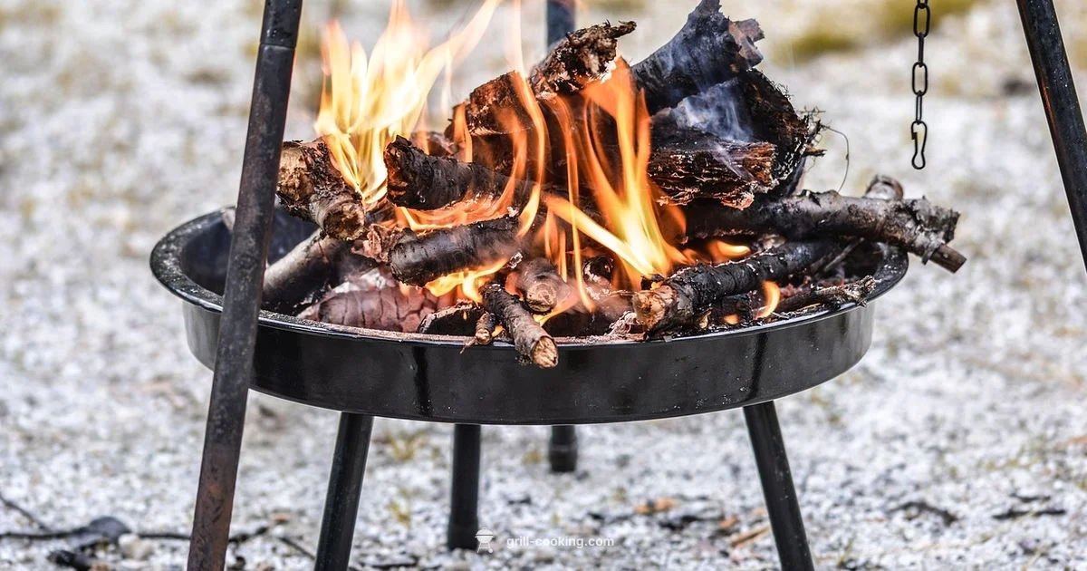 Wood Grill Mastery - Grill Cooking