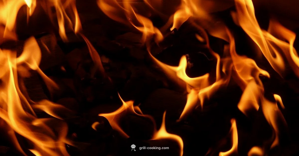 Grill vs Fry: Quick Guide Grill vs Fry: Quick Guide - Grill Cooking