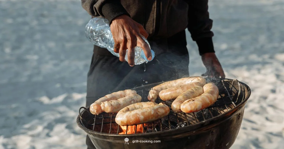 Portable Propane Grills Guide - Grill Cooking