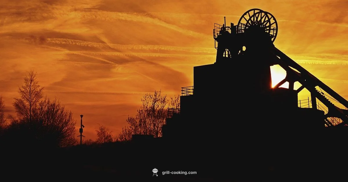 Houston Grill Guide - Grill Cooking