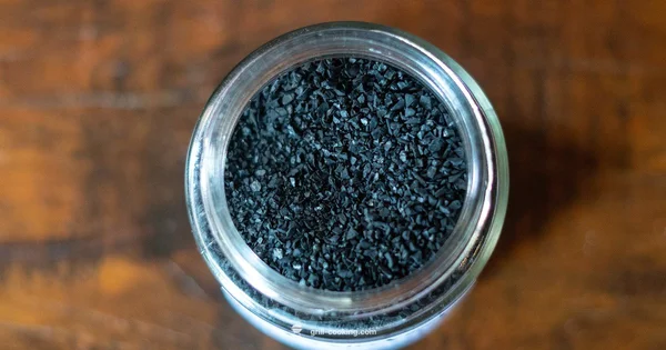 Japanese Grill Basics - Grill Cooking