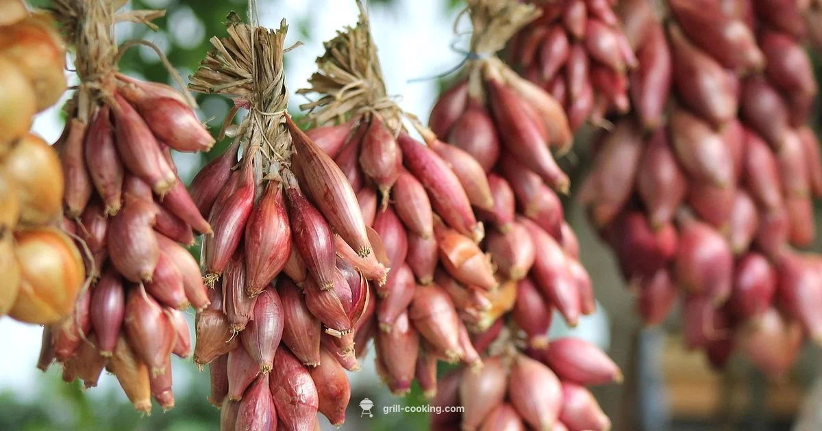 Whole Onion Grilling Guide - Grill Cooking