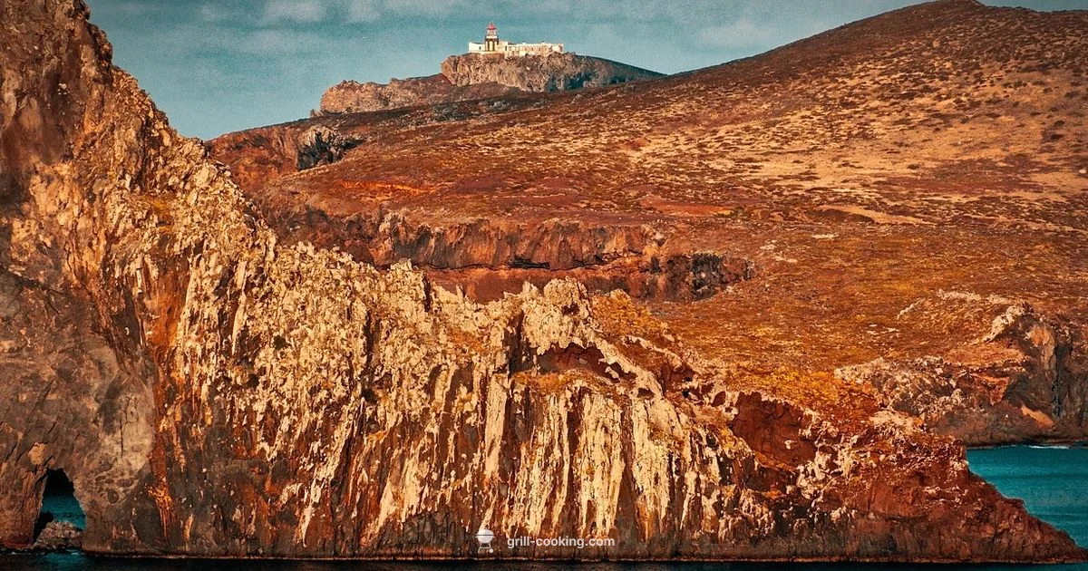 Firehouse Grill Guide - Grill Cooking