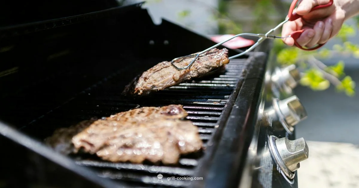 Weber Propane Grill Guide - Grill Cooking