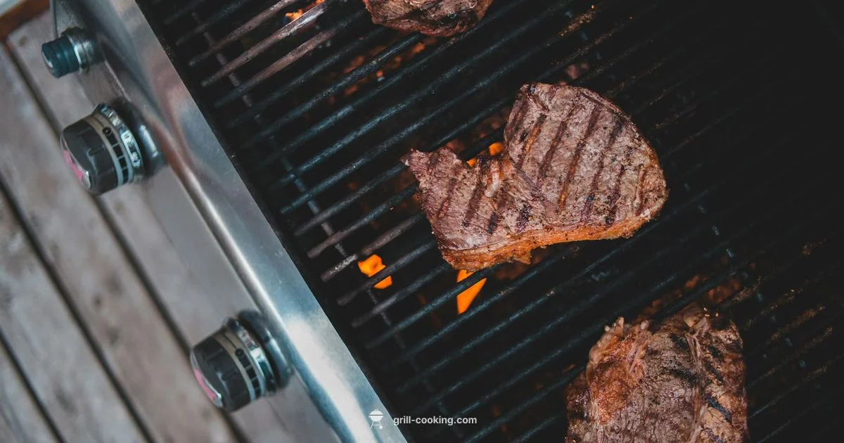 Gas Grill Essentials - Grill Cooking