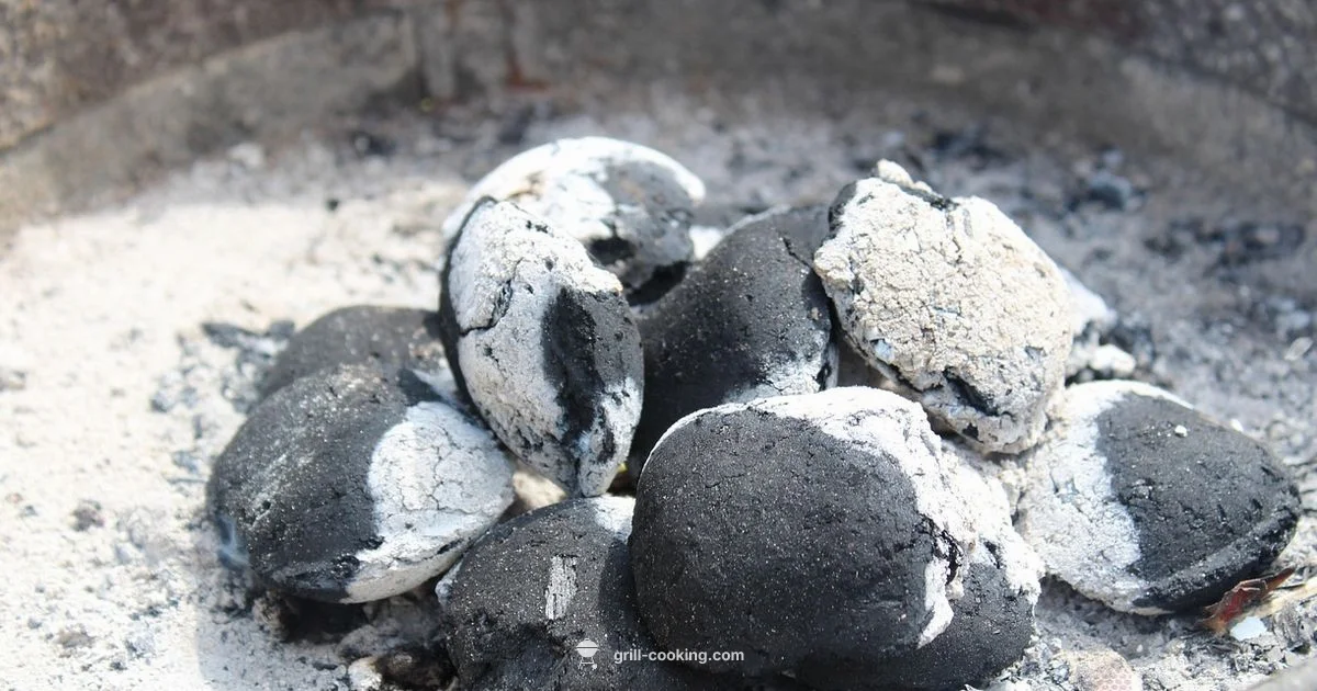 Grill Rescue Brush Review - Grill Cooking