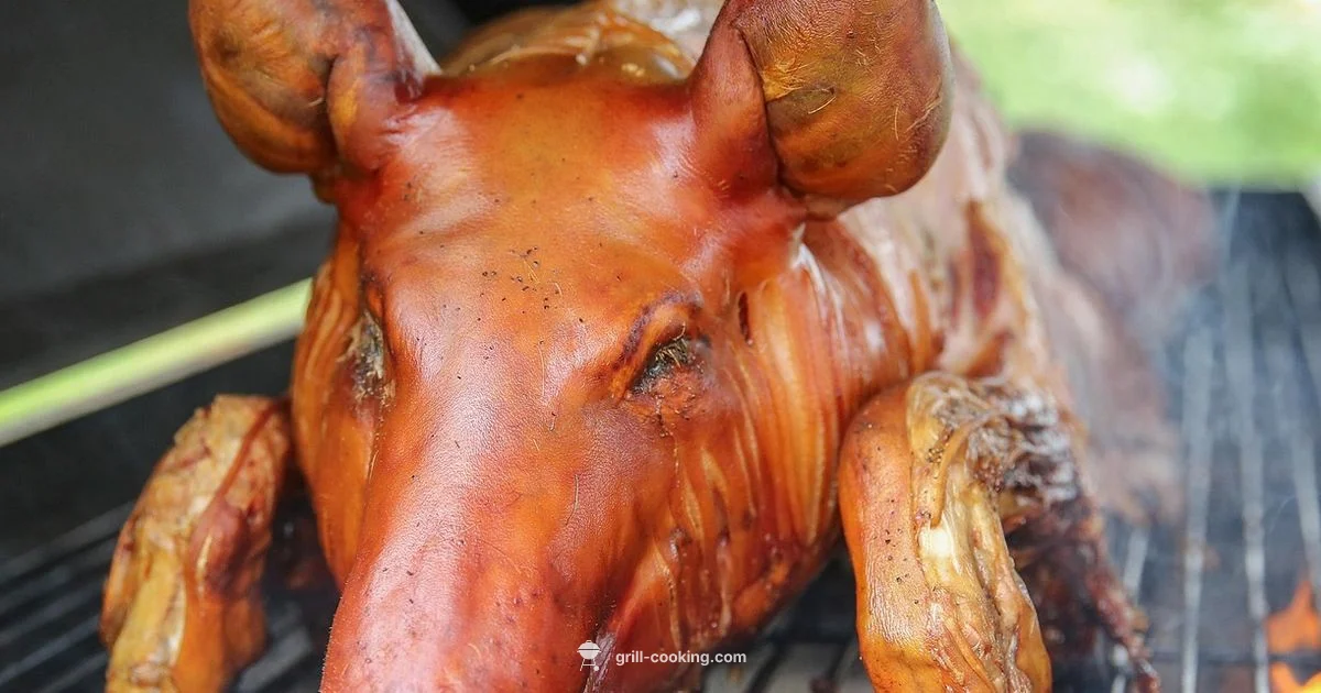 Traeger Grill in Action - Grill Cooking