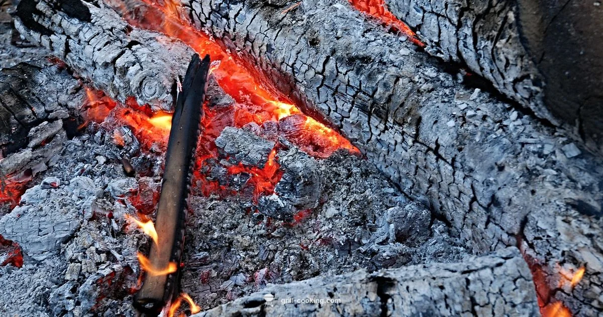 Extreme Heat Grilling - Grill Cooking