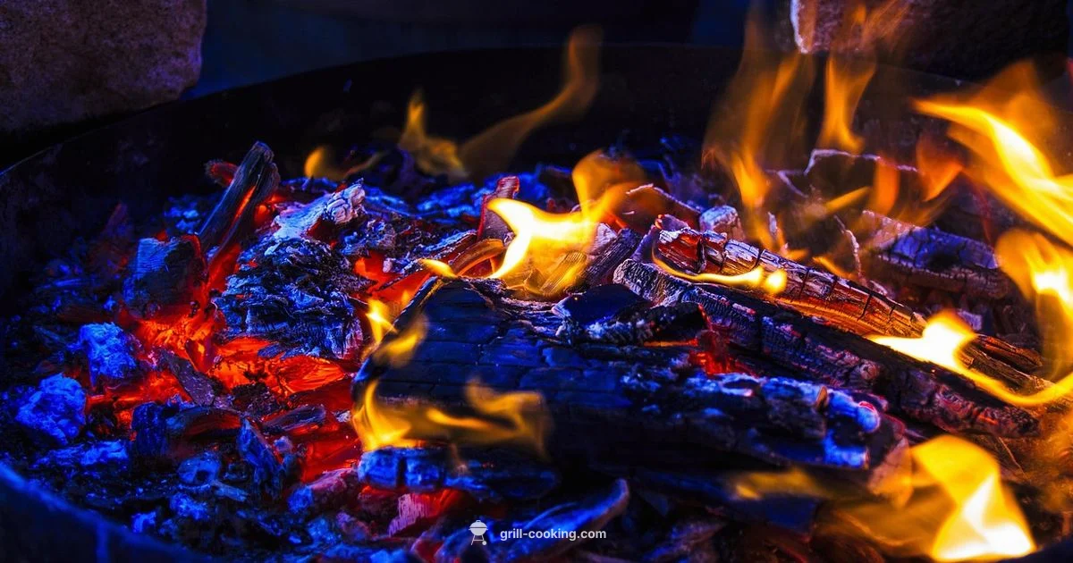 Fire Safety for Grilling - Grill Cooking