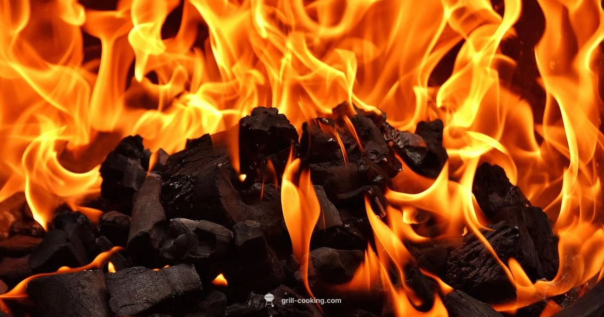 Weber Grill Guide - Grill Cooking