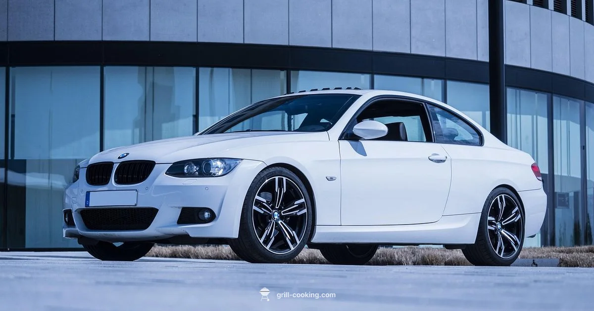 Car Grille Basics - Grill Cooking