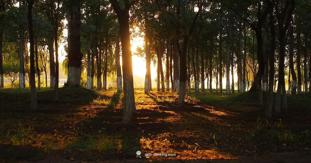 Best Grill Brand Picks - Grill Cooking