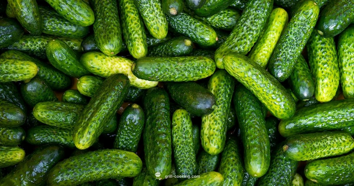 Grillo Pickles & Fermentation - Grill Cooking