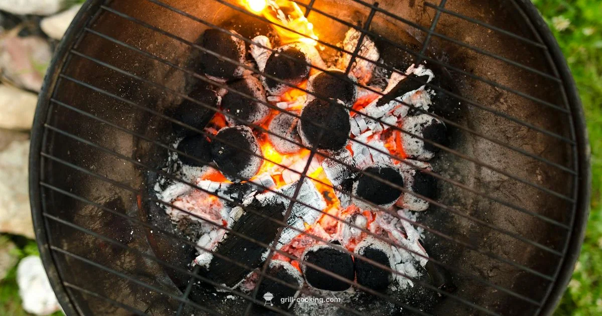 Grill Clean Routine - Grill Cooking