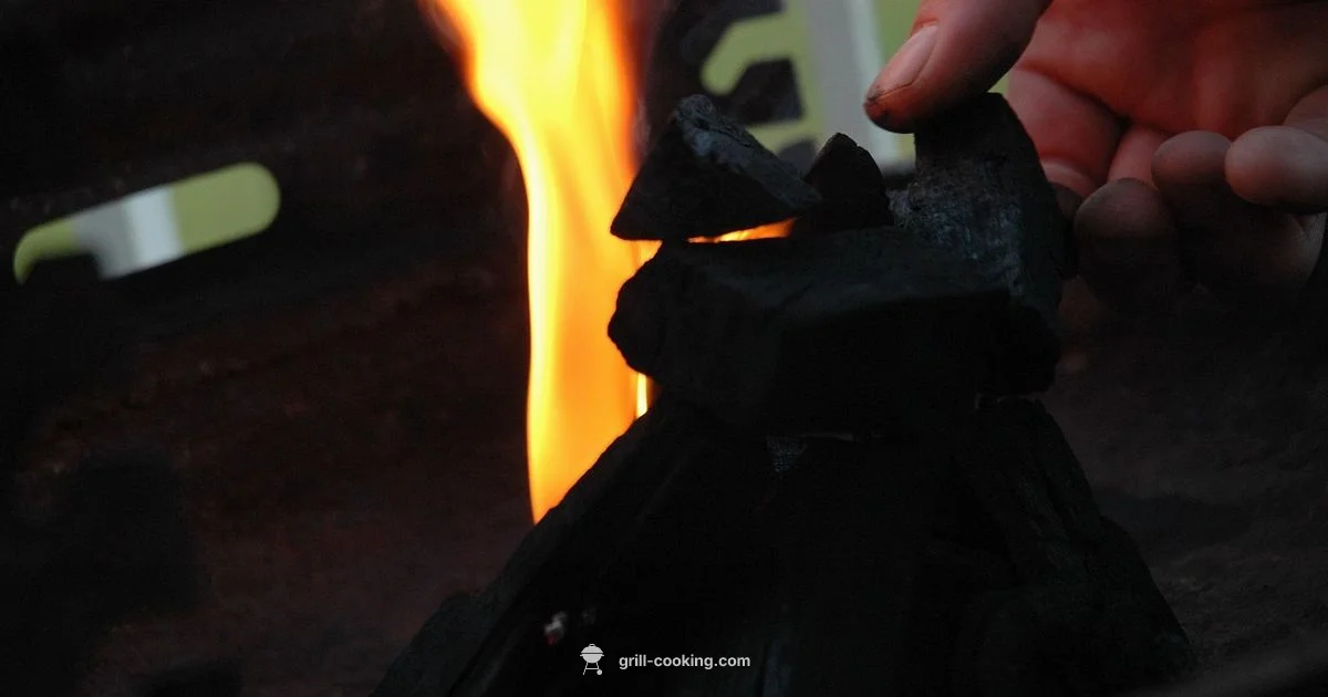 Flare-Up Fix - Grill Cooking