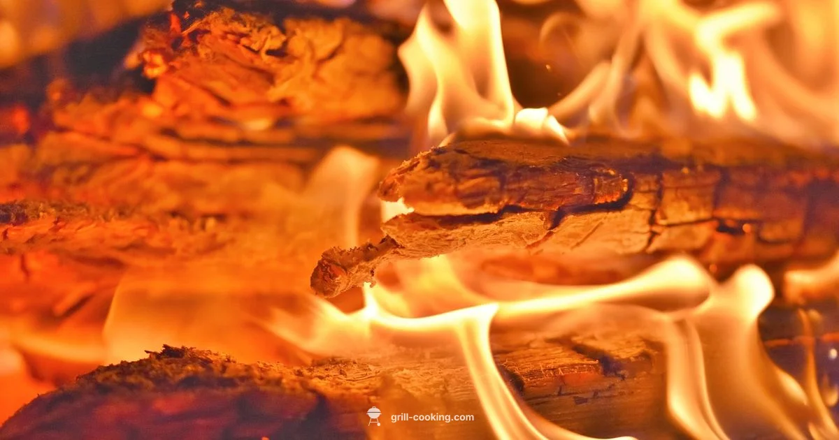 Wood Fire Guide - Grill Cooking