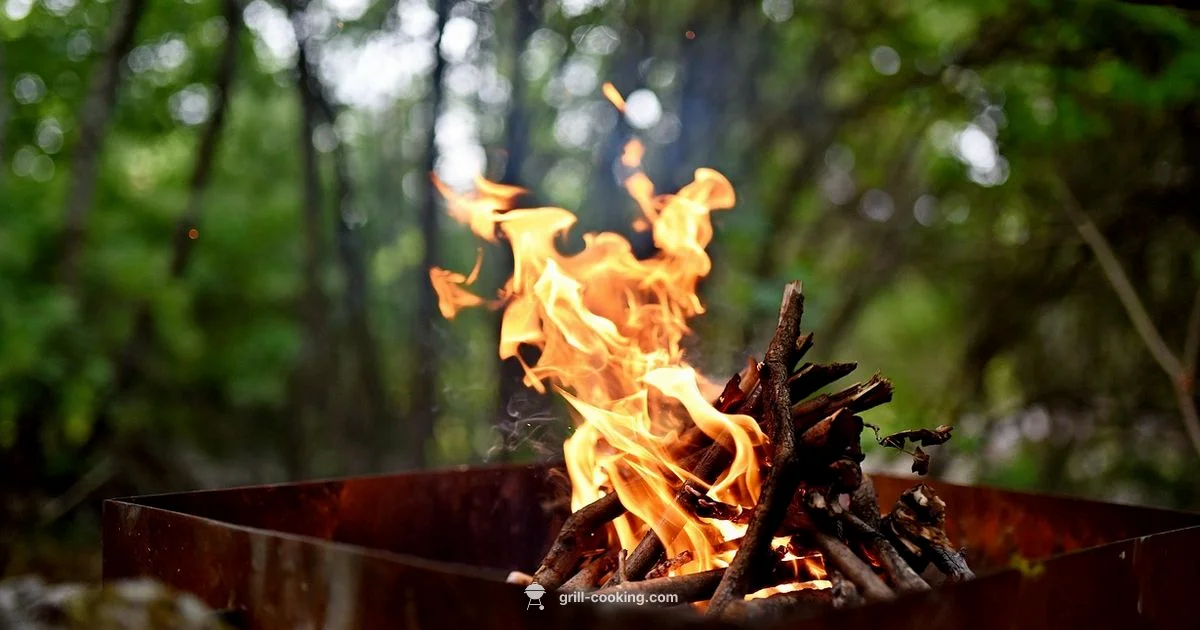 Burn Ban Grilling - Grill Cooking