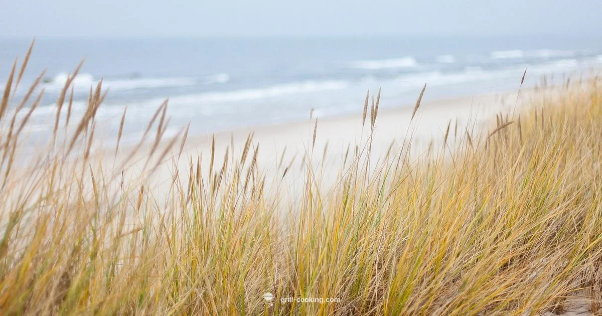 Coastal Grill Essentials - Grill Cooking