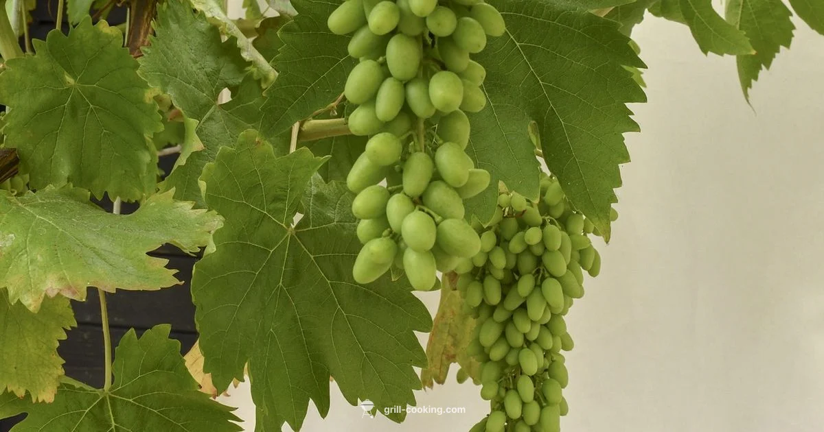 Palm Pavilion Grill - Grill Cooking