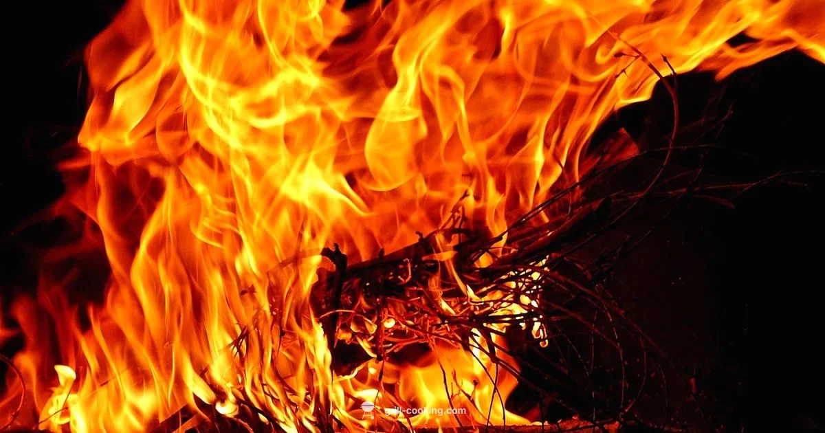 Propane Grill Guide - Grill Cooking