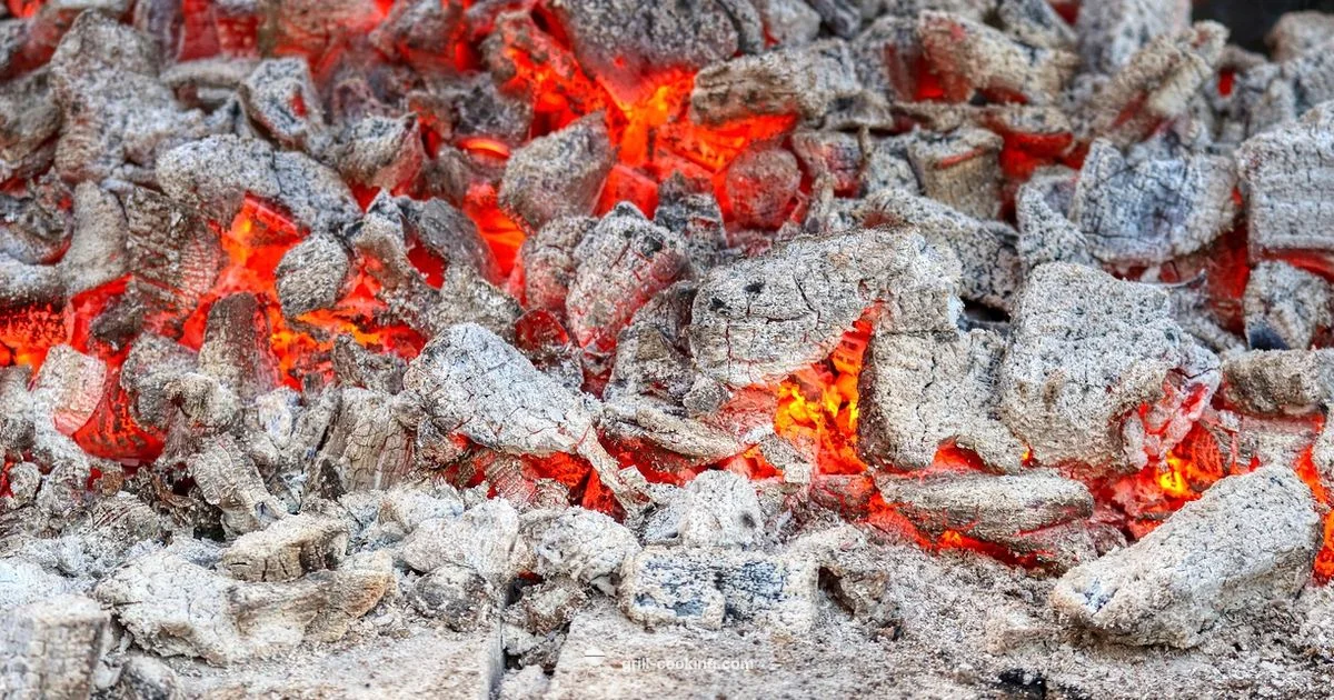 Starter Grill Kit - Grill Cooking